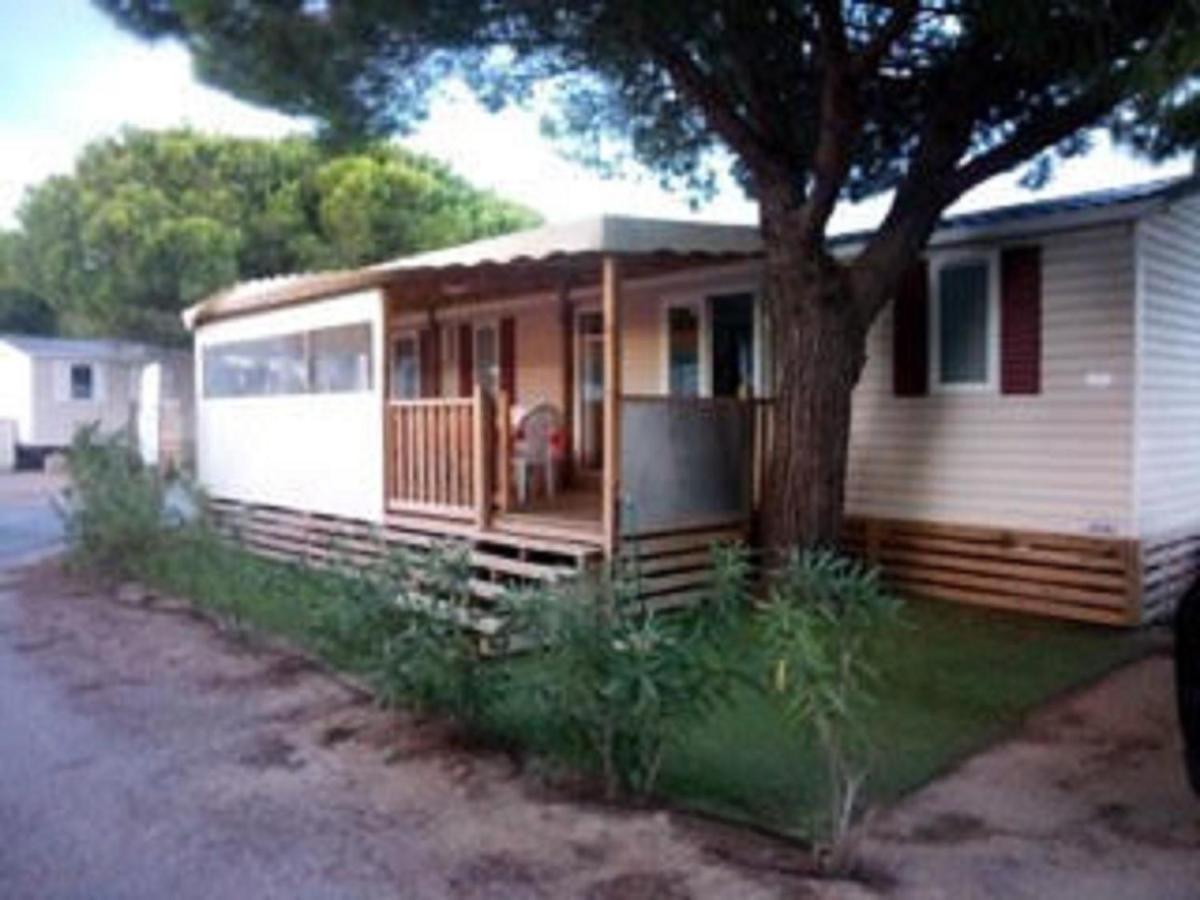 Mhvacances Louent Plusieurs Mobilhomes Dans Camping 4 Etoiles A 200M De La Plage Et Cure Thermale Canet-en-Roussillon Exterior foto